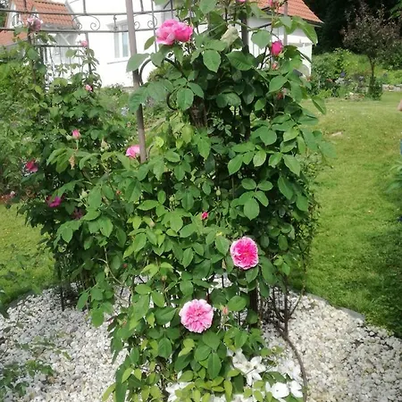 Appartamento Am Benther Berg Gehrden (Lower-Saxony)