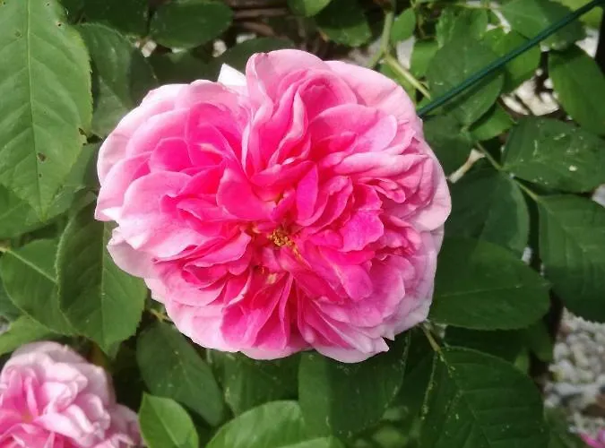 Am Benther Berg Appartement