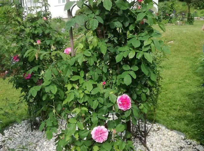 Appartement Am Benther Berg Gehrden (Lower-Saxony)